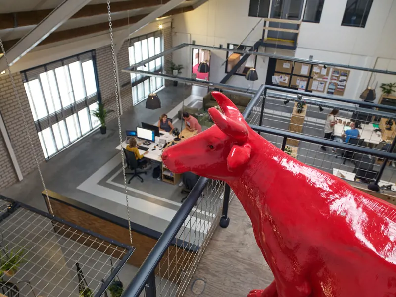 kantoor vrolijk online met rode koe